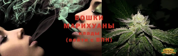 индика Балабаново