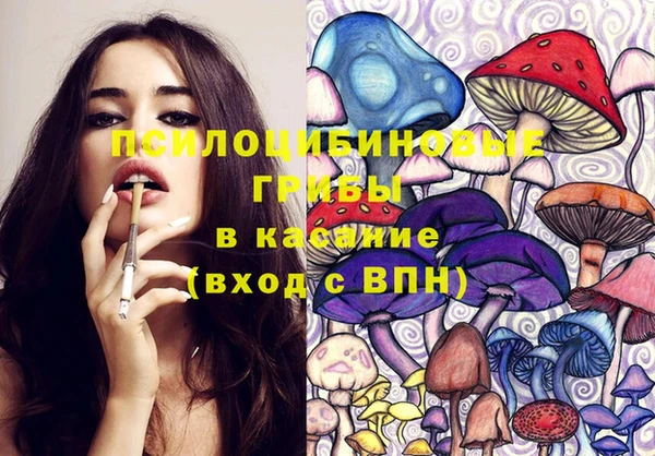 соль ск Балахна