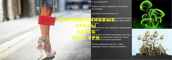 тгк Аркадак
