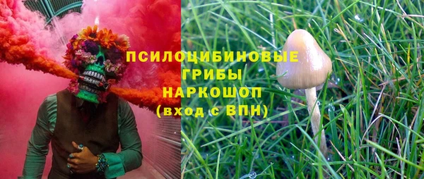 индика Балабаново