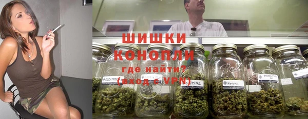 индика Балабаново